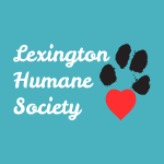 Doggie Paddle 2026 - logo